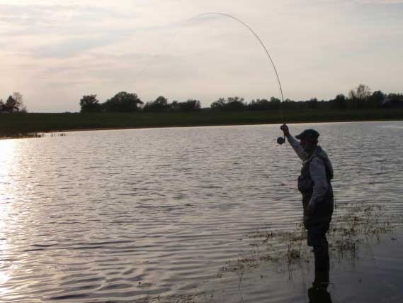 Fisheries Barrow Tanks