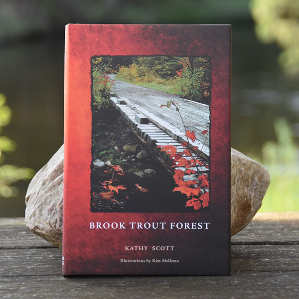 Brook Trout Forest, by Kathy Scott